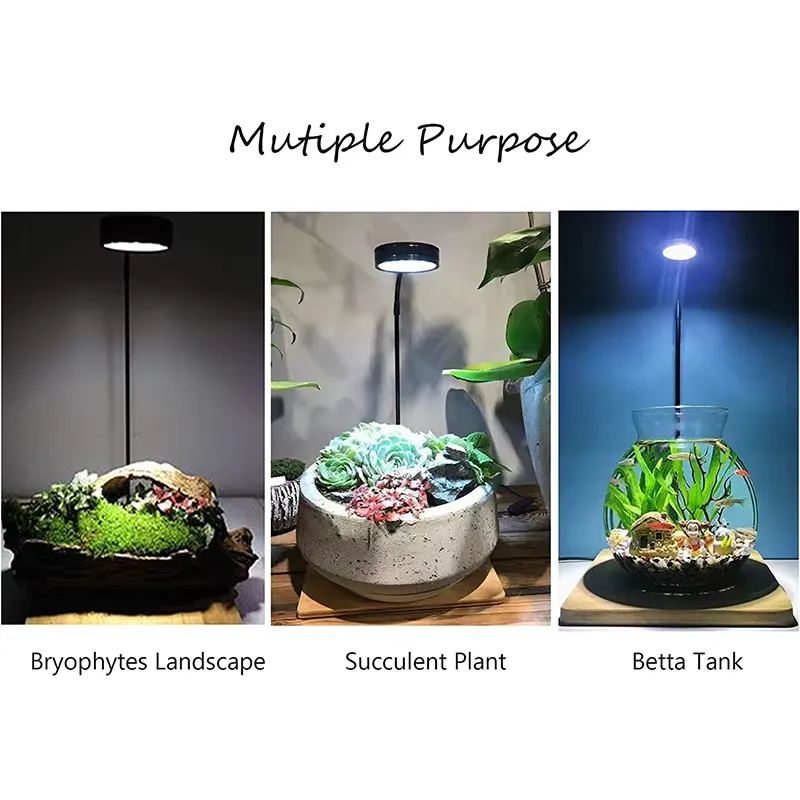 Full Spectrum LED Light with B - Planted Aquarium Hours ulasan dan harga