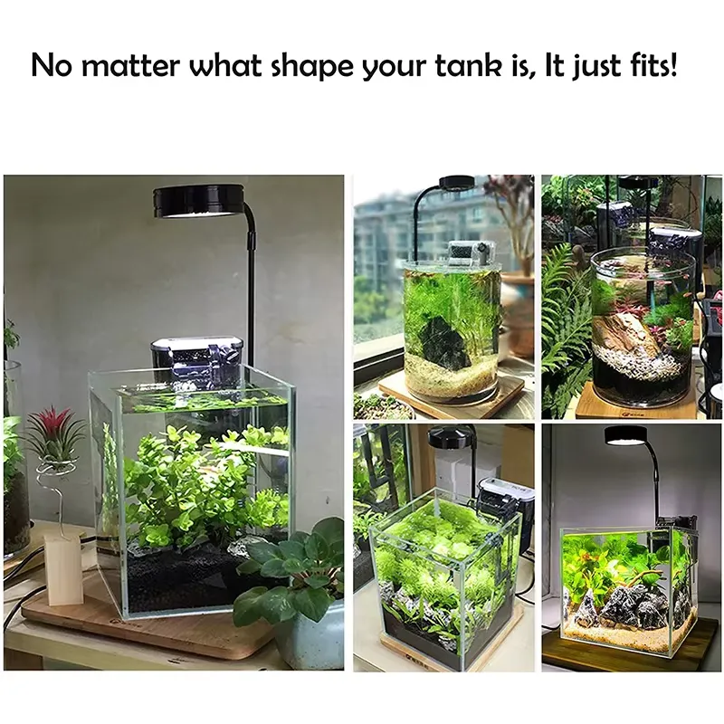 Full Spectrum LED Light with B - Planted Aquarium Hours ulasan dan harga
