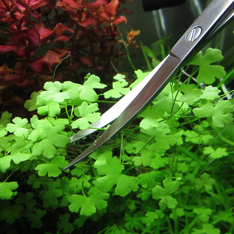 Aquarium Accessories Hard Stai - Planted Aquarium Tools ulasan dan harga