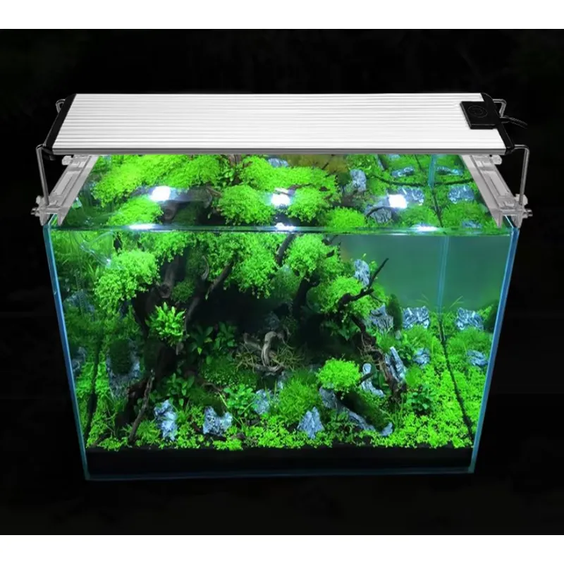 RGB Full Spectrum Silver Touch - Planted Aquarium Hours ulasan dan harga