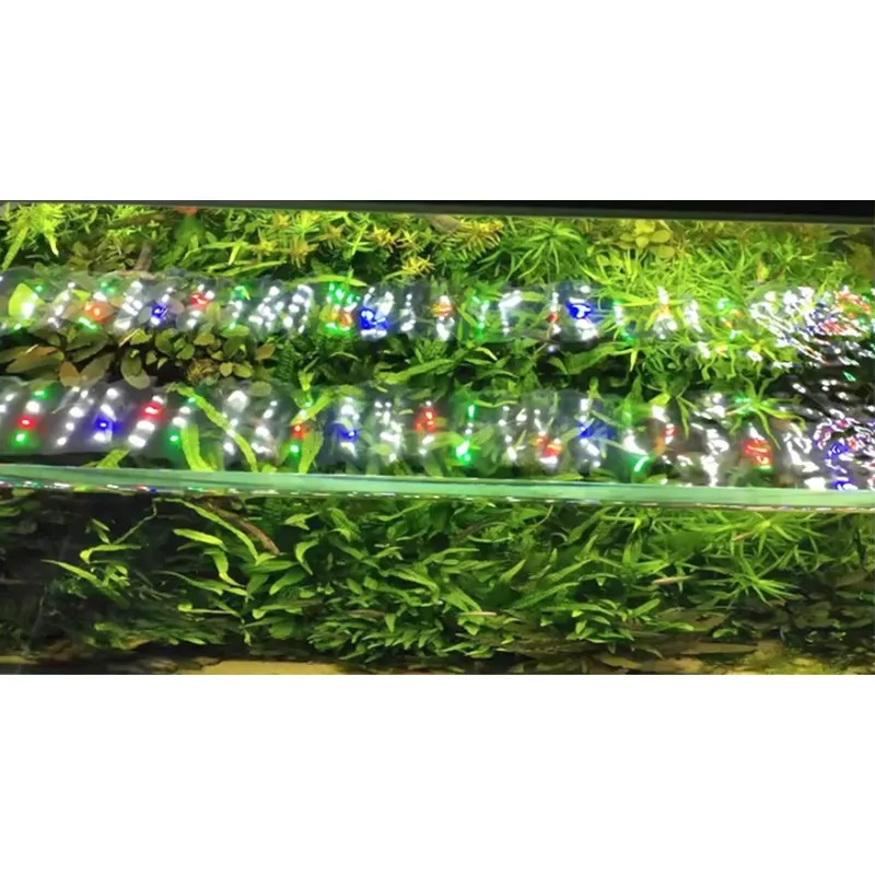 RGB Full Spectrum Silver Touch - Planted Aquarium Hours ulasan dan harga