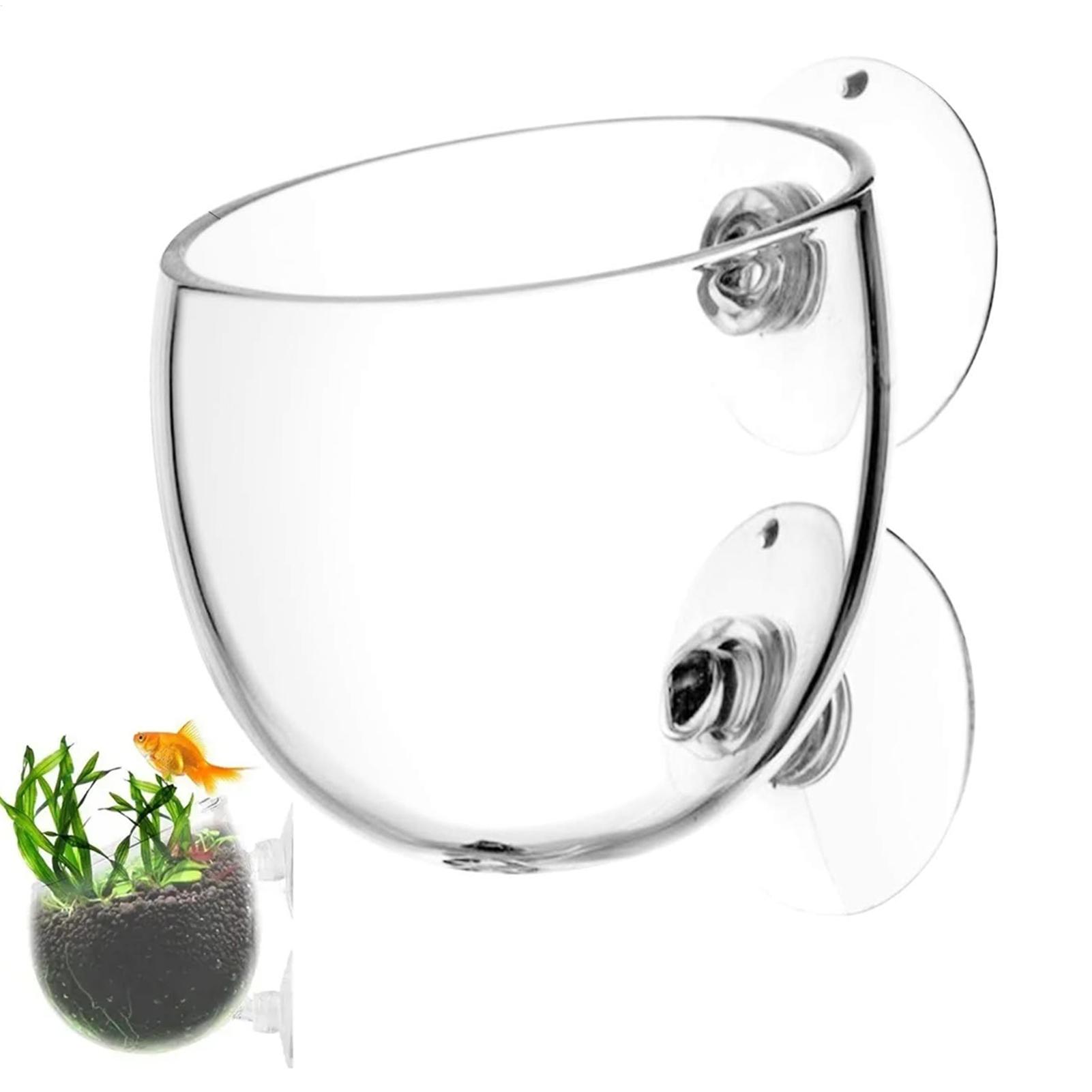 Aquarium Glass Plant Pot with  - Aquarium Plant Dip ulasan dan harga
