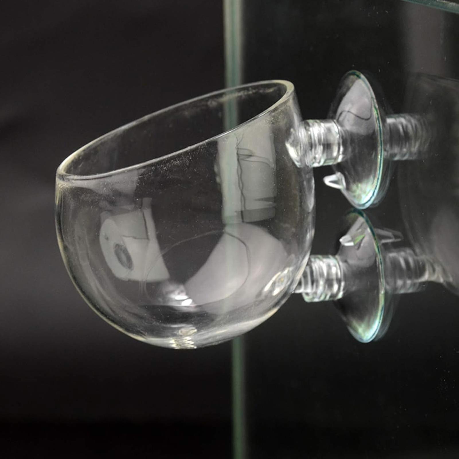 Aquarium Glass Plant Pot with  - Aquarium Plant Dip ulasan dan harga