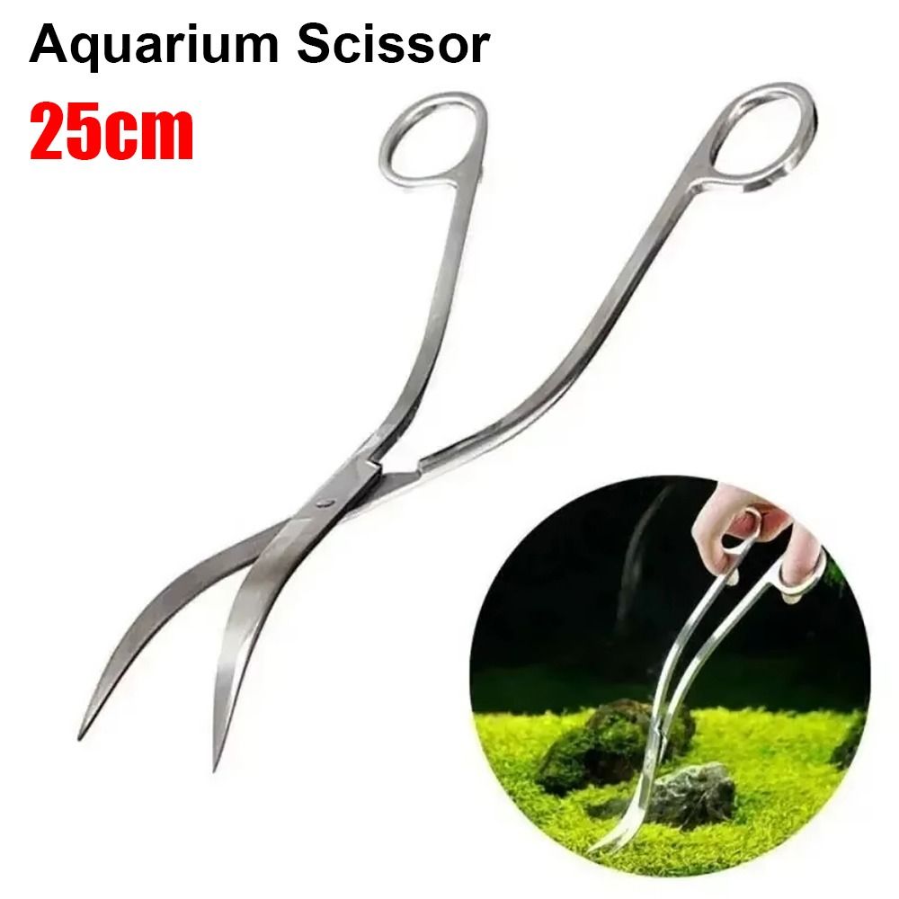 1Pcs Stainless Steel Aquarium  - Planted Aquarium Tools ulasan dan harga
