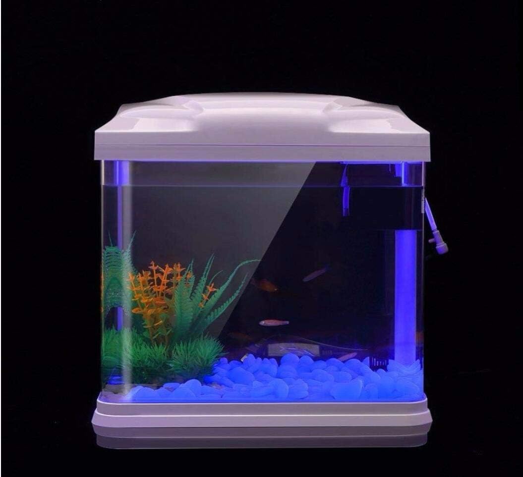 Fish Tank Rocks Glow Blue Pebb - Aquarium Planted Plants ulasan dan harga