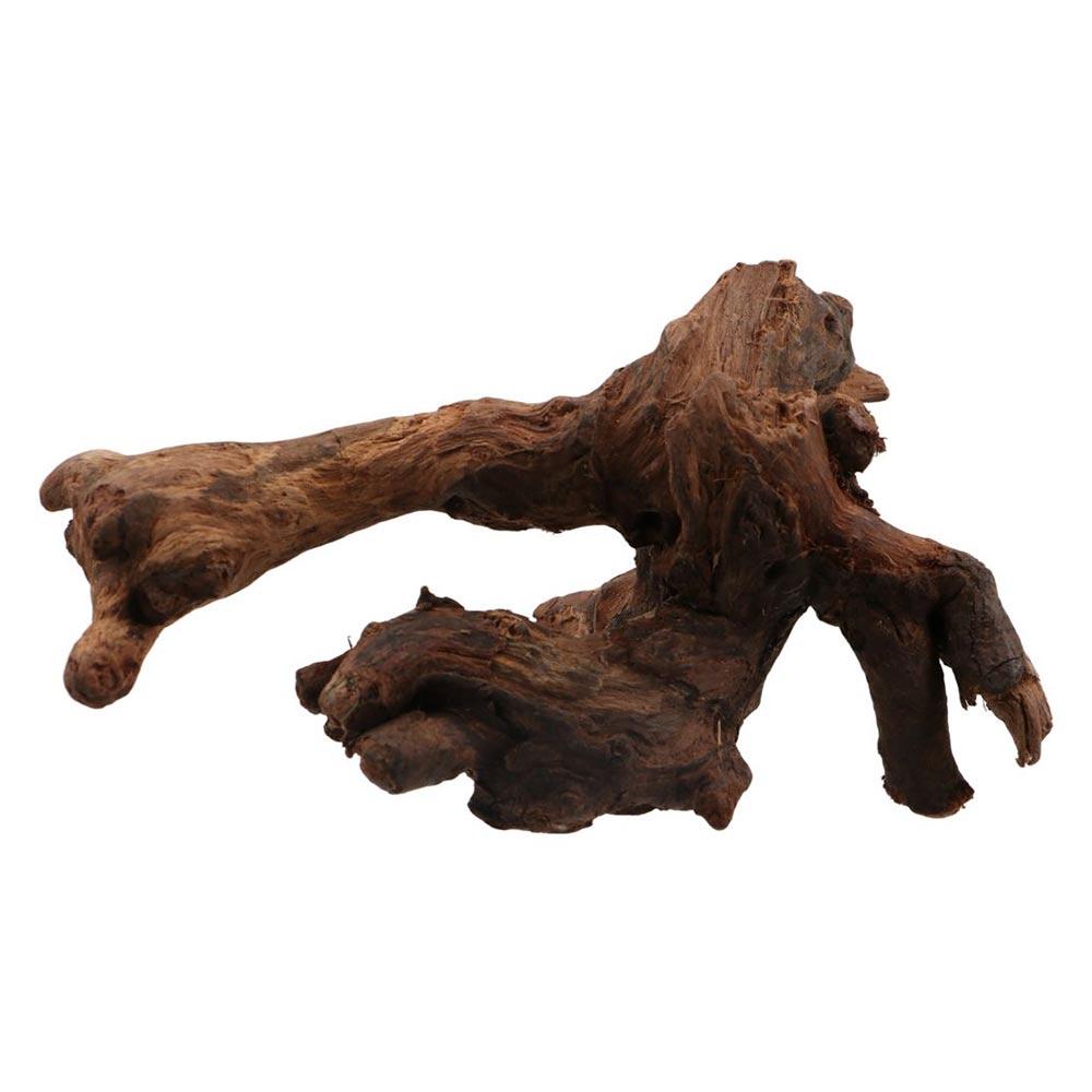 Creative Irregular Shape Coral - Aquarium Planted Tree ulasan dan harga