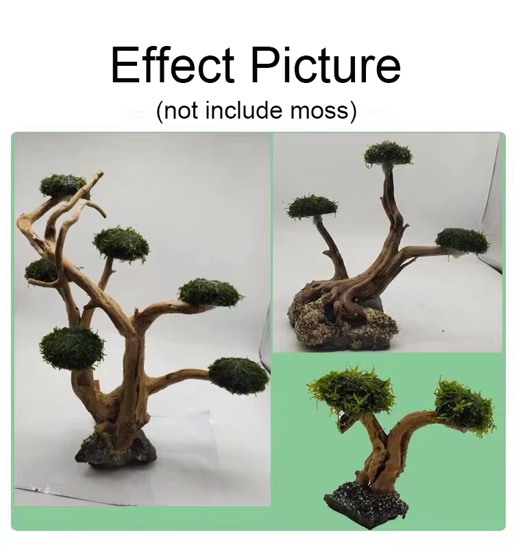 Fish Tank Plant Moss Tree Deco - Planted Aquarium Without Fish ulasan dan harga