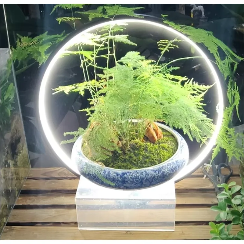Desktop LED Aquarium Lamp for  - Planted Aquarium Hours ulasan dan harga