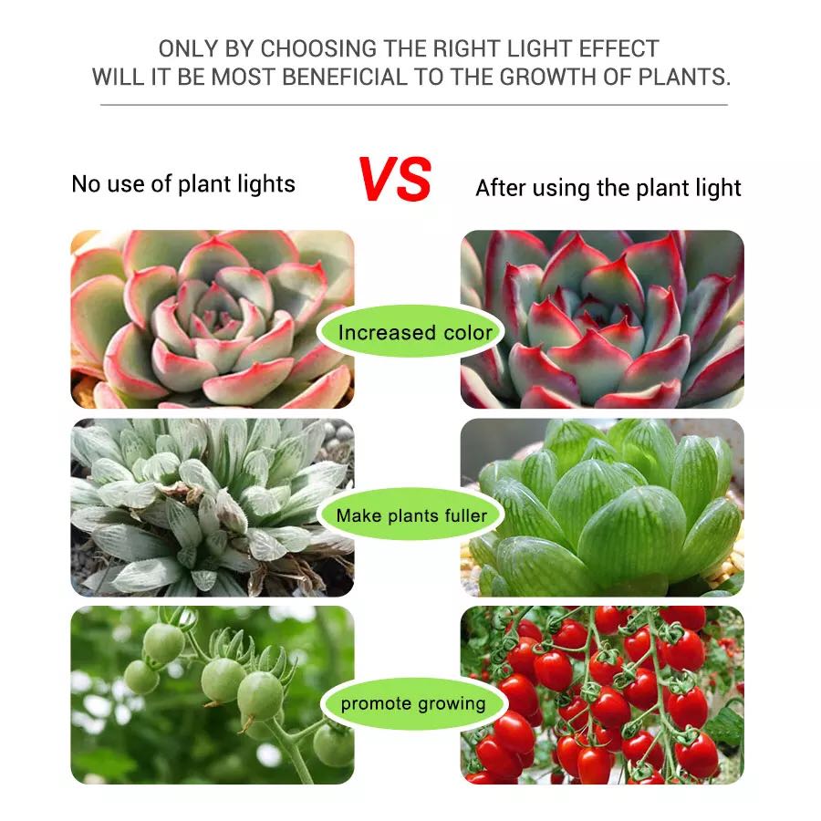 Full Spectrum 5V USB Plant Tap - Planted Aquarium Hours ulasan dan harga