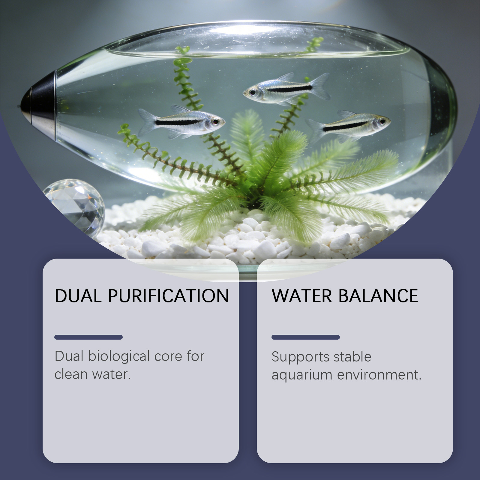 Algae Remover Tablets for Aqua - Planted Aquarium Cloudy Water ulasan dan harga