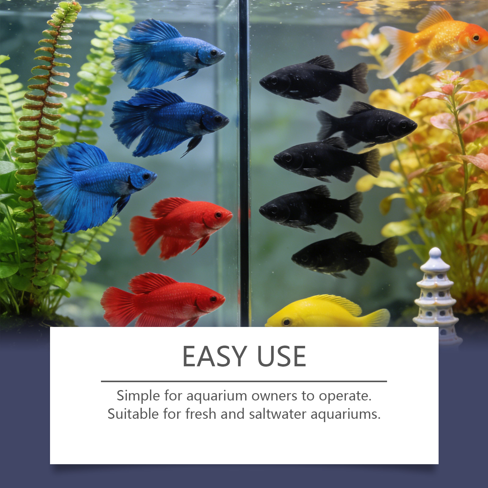Algae Remover Tablets for Aqua - Planted Aquarium Cloudy Water ulasan dan harga