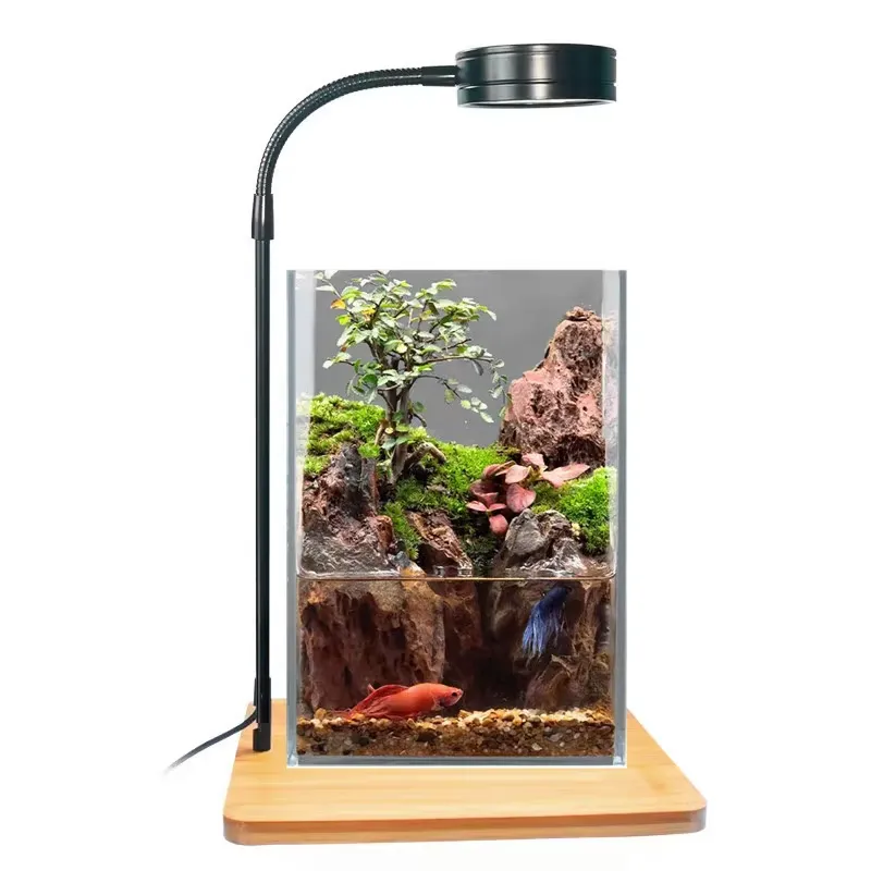 Desktop Decoration Timing Fish - Planted Aquarium Hours ulasan dan harga