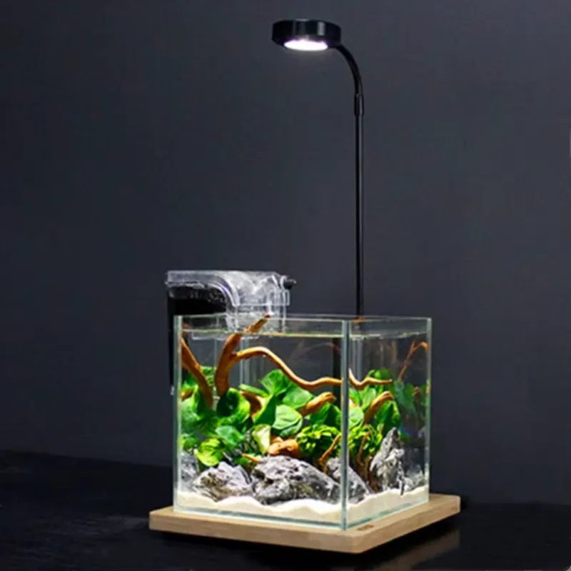 Desktop Decoration Timing Fish - Planted Aquarium Hours ulasan dan harga