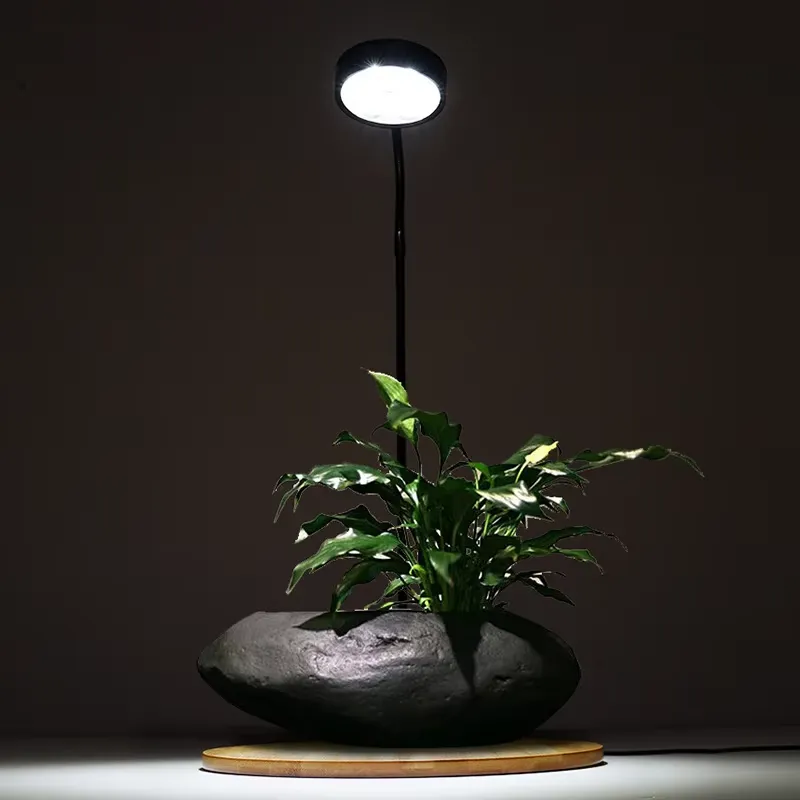 Desktop Decoration Timing Fish - Planted Aquarium Hours ulasan dan harga