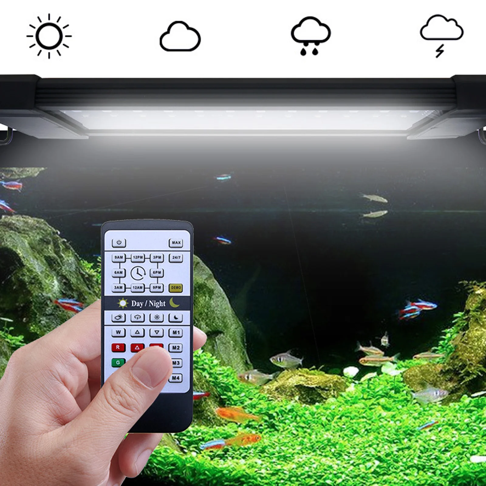 Liweida 24 Hours Natural Light - Planted Aquarium Hours ulasan dan harga